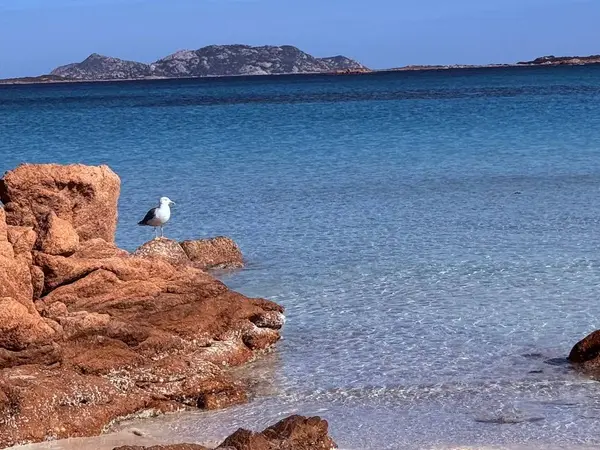 Discover Sardinia